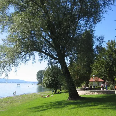 Rebhaus 